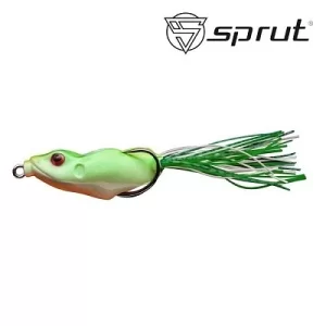 Numa Frog